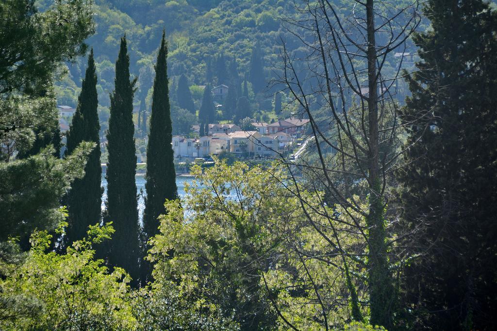 Apartments Dinko Zifra Tivat Exterior foto